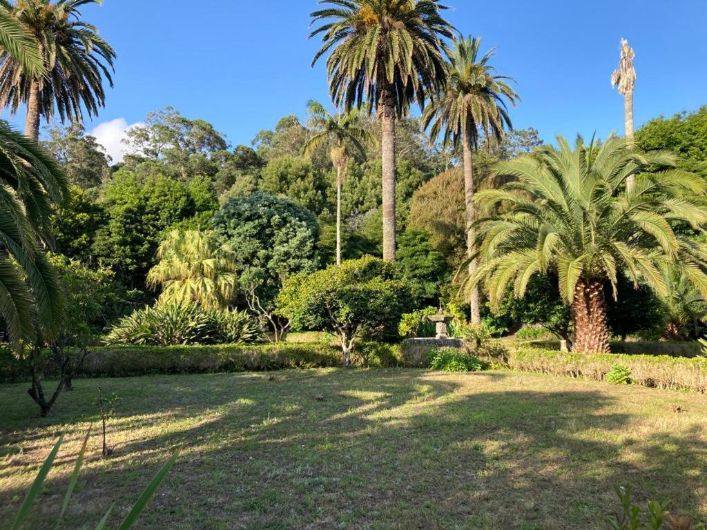 Quinta Das Palmeiras Angra do Heroísmo Exterior foto